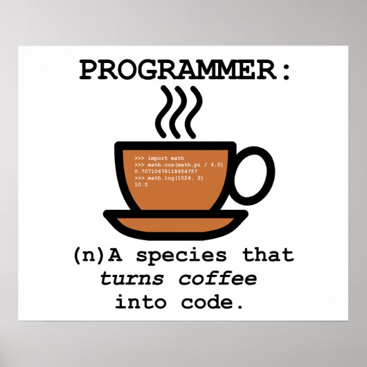 Définition d'un programmeur informatique - Poster  (Devant)