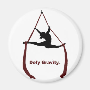Defy Gravity Magneet