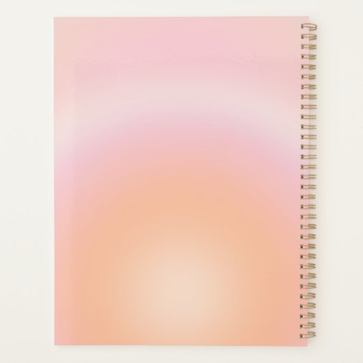 Dégradé Fuzz Peach (Dos)