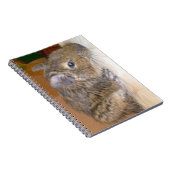 Degré Carnet relaxant (Côté Droit)