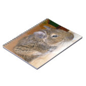 Degré Carnet relaxant (Côté gauche)