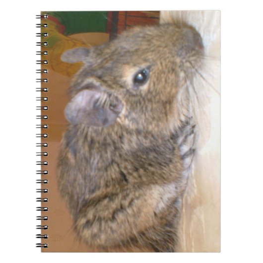 Degré Carnet relaxant (Devant)