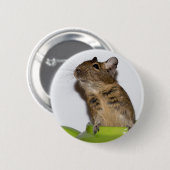 Degu in groene foto ronde button 5,7 cm (Voorkant /achterkant)