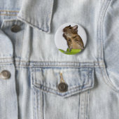 Degu in groene foto ronde button 5,7 cm (In situ)
