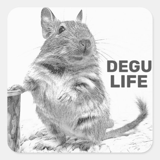 DEGU LIFE VIERKANTE STICKER (Voorkant)