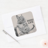 DEGU LIFE VIERKANTE STICKER (Envelop)