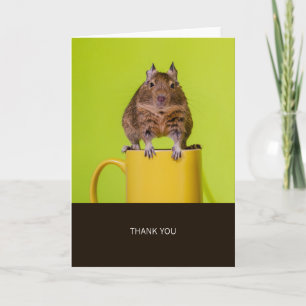 Degu op Yellow Cup Dank u Bedankkaart