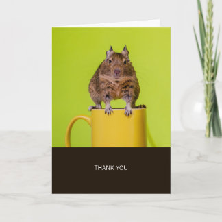 Degu op Yellow Cup Dank u Bedankkaart