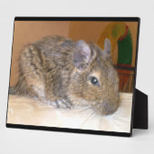 Degu Relaxing Plaque Fotoplaat (Zijkant)
