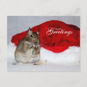 Degu & Santa Hat Seizoen Groeten Feestdagenkaart
