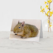 Degu-Wenskaart Kaart (Gele Bloem)