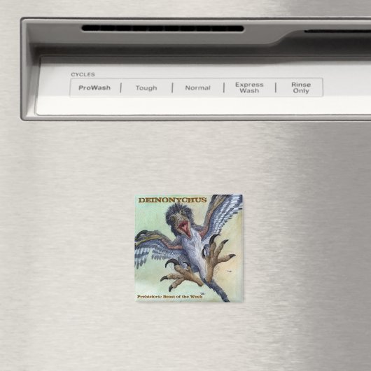 Deinonychus Magnet (In Situ (Lave-vaisselle))