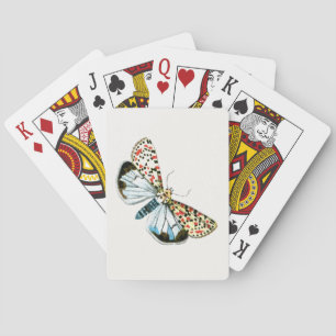 Deiopeia pulchella - Kwetsbare Flunkey Moth Pokerkaarten