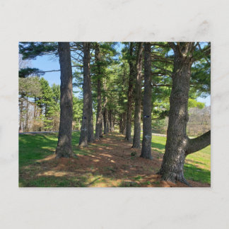 Deis Hill Park, Dover, Ohio Briefkaart