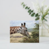 Déjeuner à l'Acacia Tree - Carte postale (Debout devant)