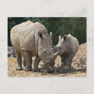 Déjeuner avec carte postale maman