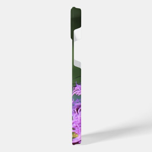 Déjeuner monarque (Côté gauche)