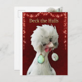 Dek het Briefkaart van de waterkuikens (Voorkant / Achterkant)