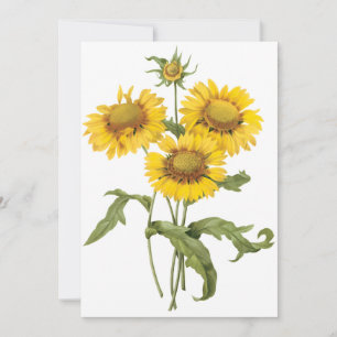 Deken Bloem Zonnebloem door Redoute Uitnodiging