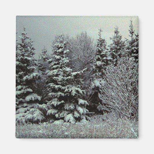 Deken van sneeuwmagneet magneet (Voorkant)