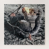 Dekhoorn die een appel eet legpuzzel (Horizontaal)