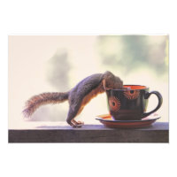 Dekhoorn en koffiebeker