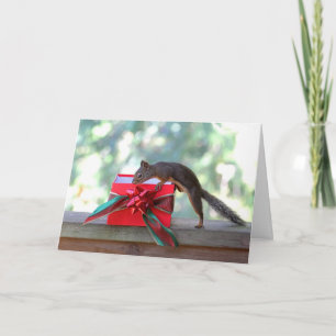 Dekhoorn kerstcadeaupresentatie feestdagen kaart