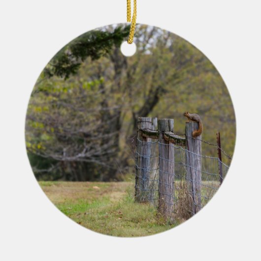 Dekhoornkop Keramisch Ornament (Voorkant)