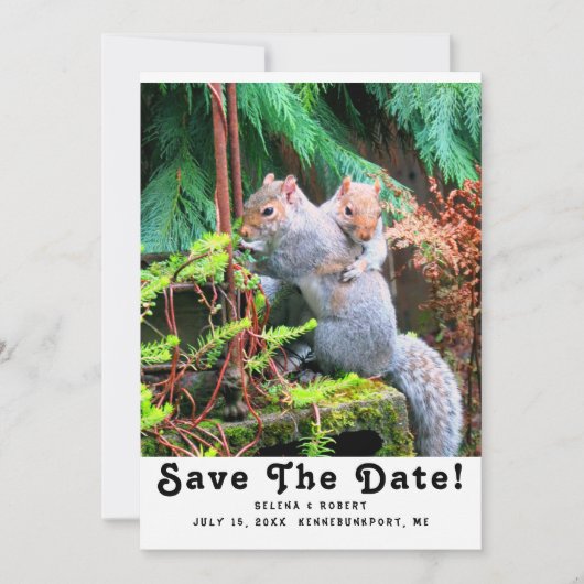 Dekhoornkruis, plak om de datumkaart op te slaan save the date (Voorkant)