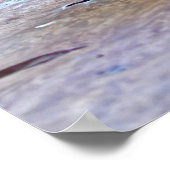 Dekhoornvaten Poster (Hoek)