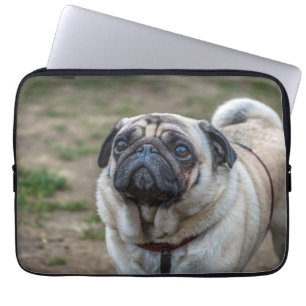 Dekje voor hondenlaptop laptop sleeve