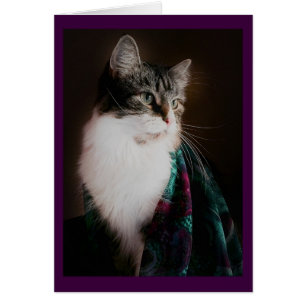 Dekkat van peulvruchten