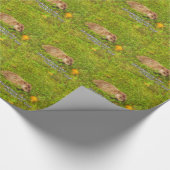 Dekking op de dag van de grond! cadeaupapier (Hoek)