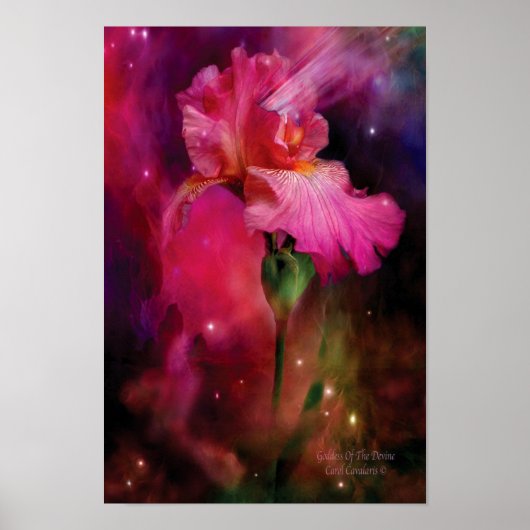 Dekking van het Poster van de Devine Art/Print (Voorkant)