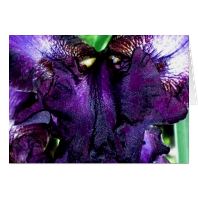 dekmantel (Voorkant Horizontaal)