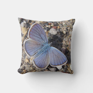 Dekokissen blauer Schmetterling Kussen