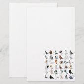 Dekriet 36 briefpapier (Voorkant / Achterkant)
