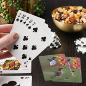 Deksel van kaartjes voor gezelschapsvogels pokerkaarten (Insitu)