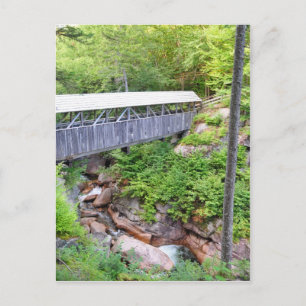 Dekte Wooden Bridge Sentinel Pine Briefkaart