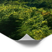 Del Campo Peak Poster (Hoek)