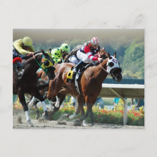 Del Mar Racetrack Briefkaart (Voorkant)