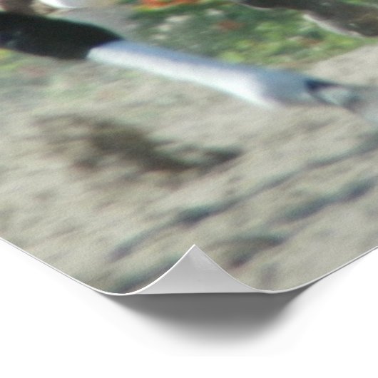 Del Mar Racetrack Poster (Hoek)