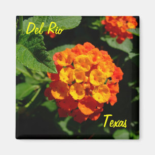 Del Rio Texas Magnet Lantana flower Magneet