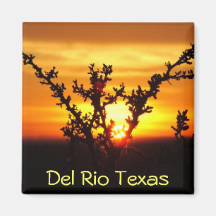 Del Rio Texas souvenirs woestijnborstel zonsonderg Magneet