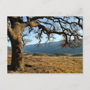Del Valle Regional Park, Livermore, CA Briefkaart