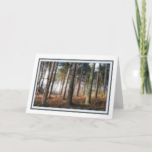 Delamere Bos Groeten Kaart