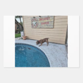 Delaney Ranch Wrapping Paper Flat Sheet Set van 3 (Voorkant 2)