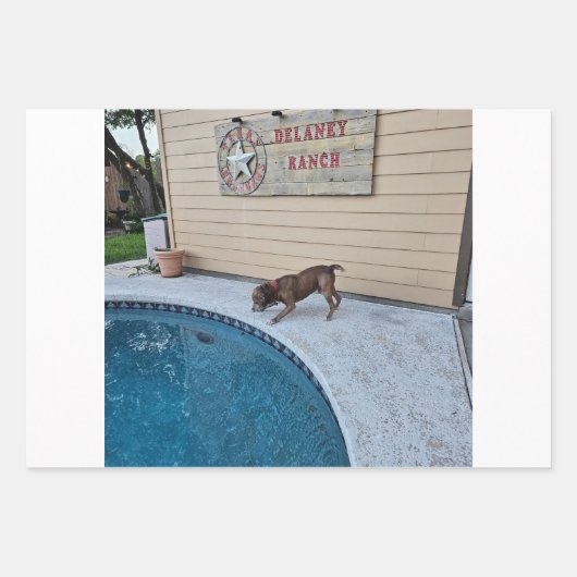 Delaney Ranch Wrapping Paper Flat Sheet Set van 3 (Voorkant 2)