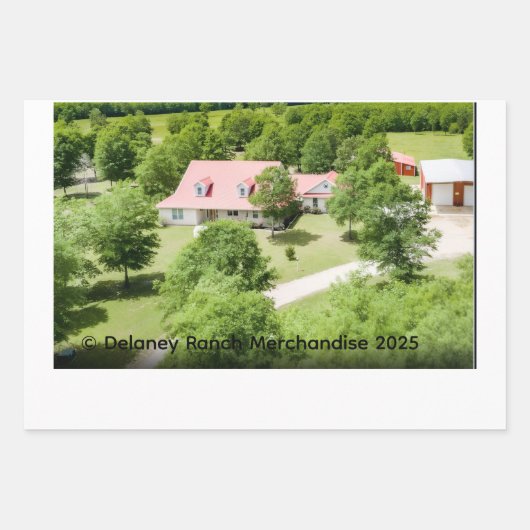 Delaney Ranch Wrapping Paper Flat Sheet Set van 3 (Voorkant 3)