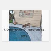 Delaney Ranch Wrapping Paper Flat Sheet Set van 3 (Voorkant 2)